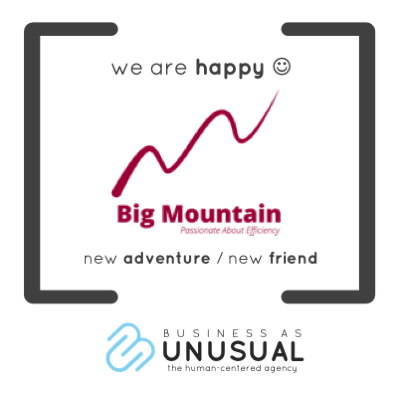 Big Mountain Consulting